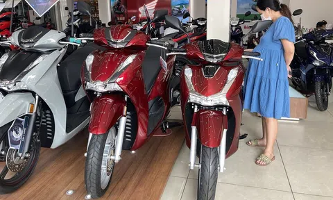 Giá xe máy Honda, Yamaha giảm 'sập sàn' trước Tết: SH, Vision rẻ kỷ lục, Exciter hạ 5 triệu đồng
