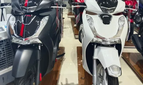 Giá xe Honda SH giảm mạnh đầu tháng 2/2024 hút khách Việt, có bản rẻ hơn đề xuất tới 24 triệu đồng