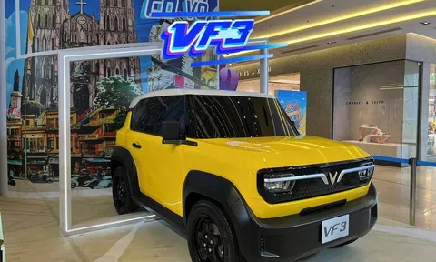 Lý giải cơn sốt VF 3: Giá phổ thông, cá nhân hoá như xe sang