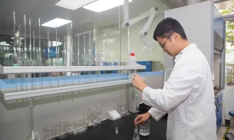 Soféyia – Giải pháp nội thất tiên phong đạt chuẩn ENF tại Việt Nam cho không gian sống