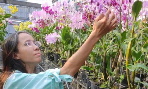 Kỹ sư Liêu Thị Kim Phượng được công bố vào top 100 Nông dân Việt Nam xuất sắc năm 2023