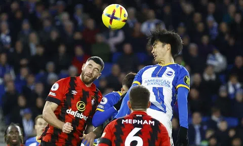 Nhận định, dự đoán Brighton vs Bournemouth, 20h00 ngày 24/09/2023