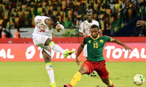 Nhận định, dự đoán Senegal vs Cameroon, 1h30 ngày 17/10/2023
