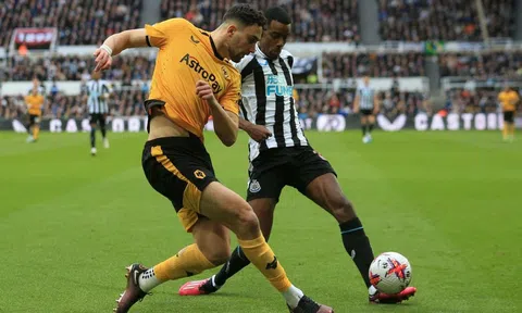 Nhận định, dự đoán Wolves vs Newcastle, 23h30 ngày 28/10/2023
