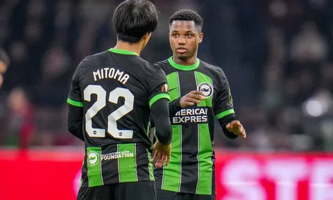 Nhận định, dự đoán Brighton vs Sheffield United, 21h00 ngày 12/11/2023