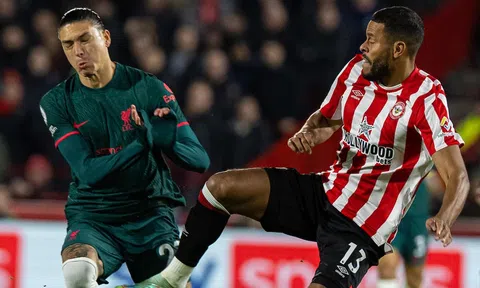 Nhận định, dự đoán Liverpool vs Brentford, 21h00 ngày 12/11/2023