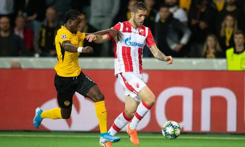 Nhận định, dự đoán Young Boys vs Crvena Zvezda, 03h00 ngày 29/11/2023