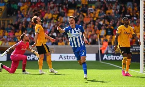 Nhận định, dự đoán Brighton vs Wolves, 02h45 ngày 23/01/2024
