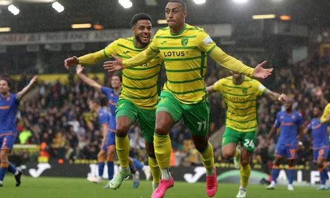 Nhận định, dự đoán Norwich City vs Watford, 02h45 ngày 14/02/2024