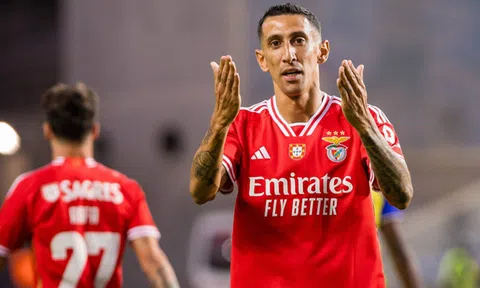 Nhận định, dự đoán Benfica vs Toulouse, 03h00 ngày 16/02/2024