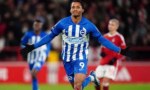 Nhận định, dự đoán Brighton vs Nottingham Forest, 21h00 ngày 10/03/2024