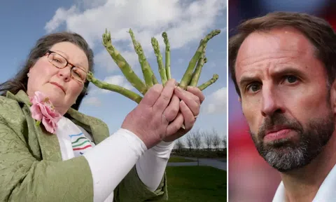 Thầy bói dự đoán số phận của ĐT Anh tại Euro 2024