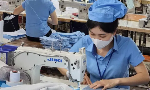 Tác động thế nào tới lương hưu khi lương tối thiểu vùng tăng 6% từ 1/7/2024 ?