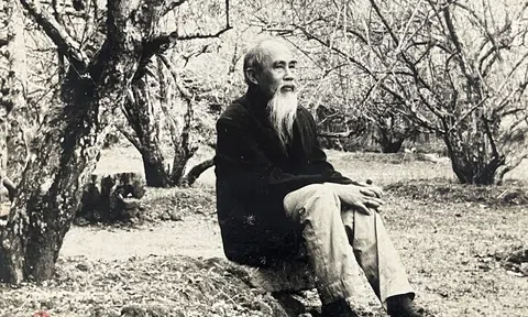 Tổng thuật Hội thảo khoa học kỷ niệm 100 năm ngày sinh Giáo sư Đào Duy Anh (1904 - 2004)
