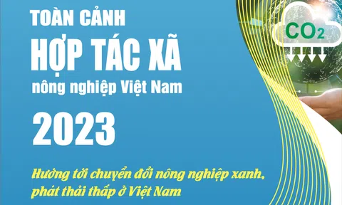 EBOOK: Toàn cảnh hợp tác xã nông nghiệp Việt Nam năm 2023