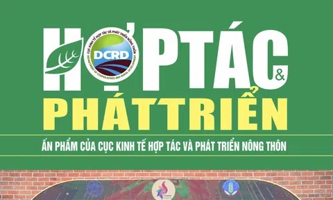 EBOOK: Kỷ niệm 20 năm thành lập Cục Kinh tế hợp tác và Phát triển nông thôn (2003 - 2023)