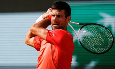 Djokovic 'vào guồng', sẵn sàng chinh chiến tại giải quần vợt Davis Cup 2023