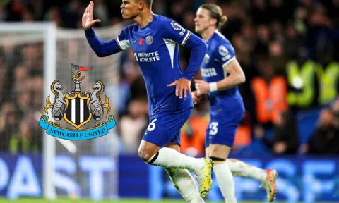 Nhận định, dự đoán Newcastle vs Chelsea, 22h ngày 25/11/2023