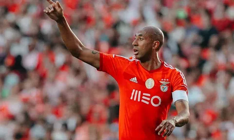 Nhận định, dự đoán Sporting CP vs Benfica, 03h45 ngày 01/03/2024