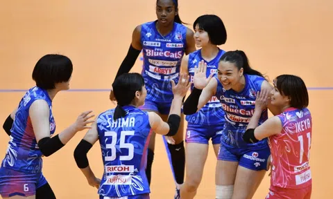 PFU BlueCats đứng trước nguy cơ mất trụ cột ở Cúp VTV9-Bình Điền 2024