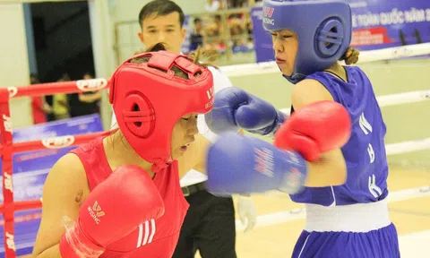 Giải vô địch Boxing các đội mạnh toàn quốc 2024 điều chỉnh thời gian kết thúc