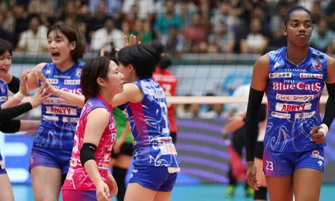 Link xem trực tiếp bóng chuyền Cúp VTV9 - Bình Điền 2024 hôm nay ngày 19/5