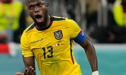 Nhận định, dự đoán Ecuador vs Honduras, 03h30 ngày 17/06/2024