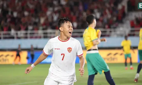 CĐV Đông Nam Á thốt lên 1 điều khi Việt Nam đối đầu Indonesia