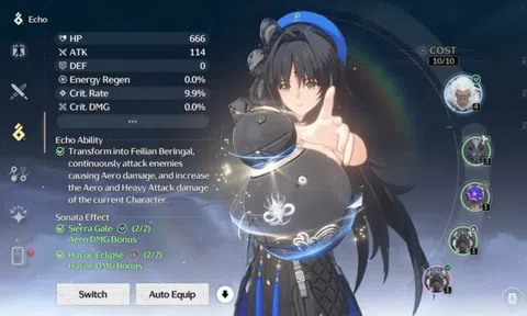 Giới thiệu cơ chế Echo - Thánh Di Vật của Wuthering Waves