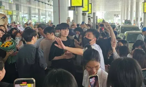 Loạt sao LCK đình đám đến Việt Nam