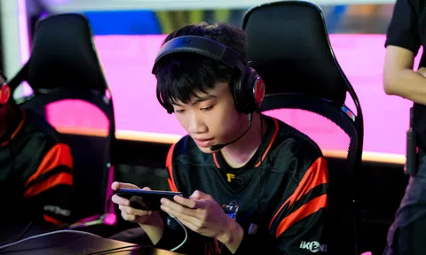 Lịch thi đấu Đại Chiến Quân Đoàn Mùa Hè 2024 Free Fire