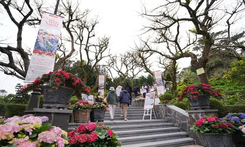 Chiêu đãi vô vàn trải nghiệm, Sun World Ba Na Hills hút khách du xuân