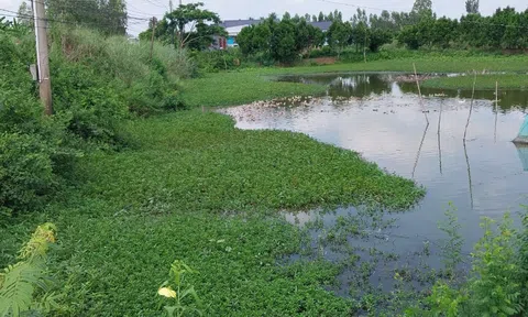 Đồng Tháp: Hơn 30 năm sử dụng đất, nay bị tòa tuyên trả lại do không có tài liệu chứng minh việc tặng cho