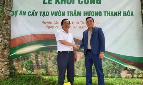 Thanh Hoá: Khởi công cấy tạo trầm hương theo công nghệ sinh học