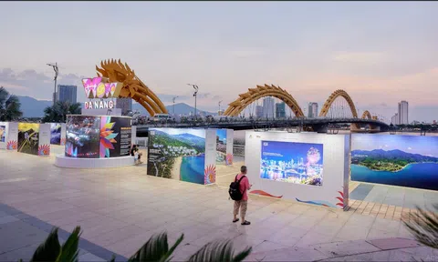 Triển lãm ảnh WOW Đà Nẵng - tọa độ check-in mới lạ mùa hè này