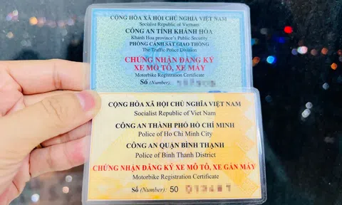 Lỡ làm mất giấy tờ xe muốn được cấp lại, loạt kinh nghiệm khi hoàn tất các thủ tục