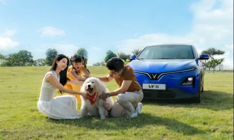 Những lý do khiến VinFast Vf 6 hút khách hàng đã có gia đình