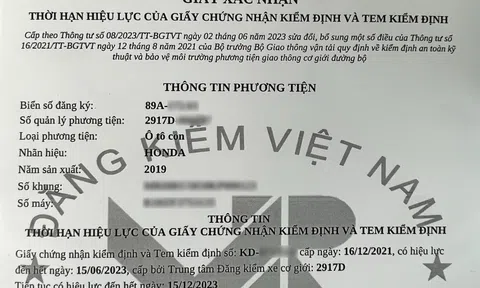 Chủ xe có cần in giấy xác nhận khi ô tô được tự động gia hạn đăng kiểm?