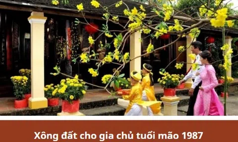 Tuổi xông đất cho tuổi Đinh Mão 1987 trong năm Giáp Thìn 2024