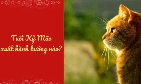 Người tuổi Kỷ Mão 1999 xuất hành hướng nào? Chọn ngày giờ ra sao cho hợp trong năm Giáp Thìn 2024