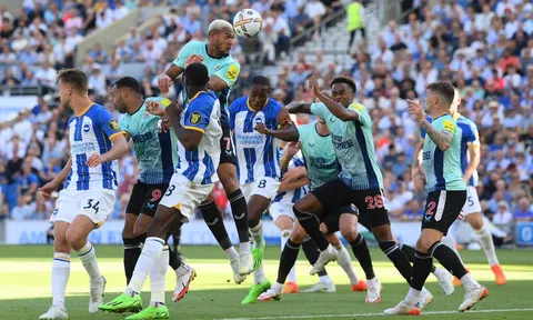 Nhận định, dự đoán Newcastle vs Brighton, 21h00 ngày 11/05/2024