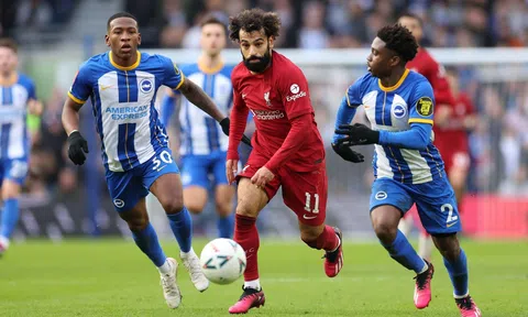 Nhận định, dự đoán Brighton vs Liverpool, 20h00 ngày 8/10