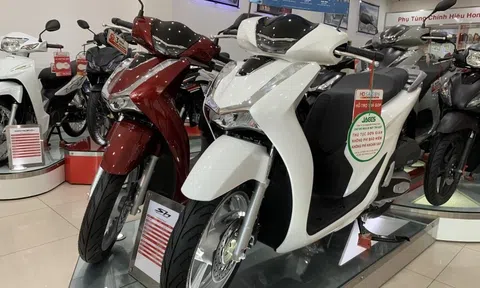 Tin xe trưa 1/11: ‘Vua tay ga’ Honda SH giảm giá khó tin tại đại lý khiến khách hàng Việt ‘dậy sóng’