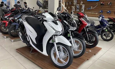 Tin xe trưa 22/11: Giá xe Honda SH tháng 11/2023 giảm sâu chưa từng có, thu hút khách Việt