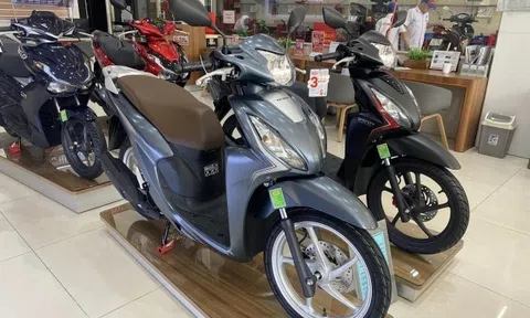 Tin xe trưa 22/12: Giá Honda Vision giảm mạnh, ‘rẻ như bèo’ trong những ngày cuối năm