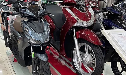Tin xe hot 15/2: Giá xe máy Honda ‘rẻ như bèo’, cả Wave, Vision và SH đều giảm sâu giữa tháng 2/2024