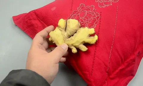 Hành động đặt gừng dưới gối trước khi đi ngủ mang lại lợi ích không ngờ