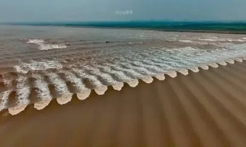 Đã mắt chiêm ngưỡng thủy triều vẩy cá - hiện tượng thiên nhiên kỳ thú chỉ có ở một con sông