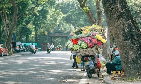 Tháng 11 không khí lạnh tăng cường, nhiệt độ chưa giảm sâu