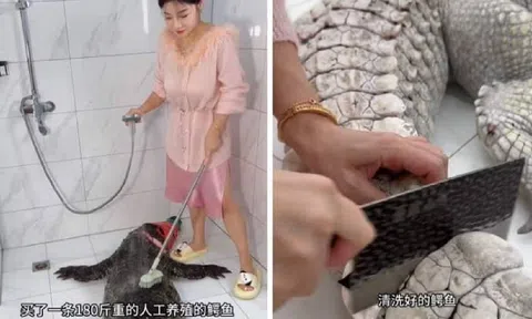 Nữ vlogger gặp hậu quả khi kiếm lượt xem bằng hình ảnh chế biến cá sấu